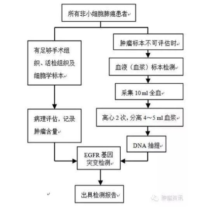 肺癌血液EGFR检测中国专家共识成功发表