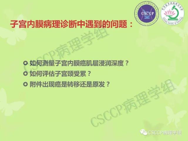 宫颈与子宫病变病理标本取材