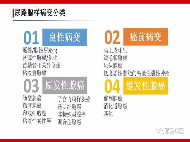 泌尿课程/尿路腺样病变的诊断要点