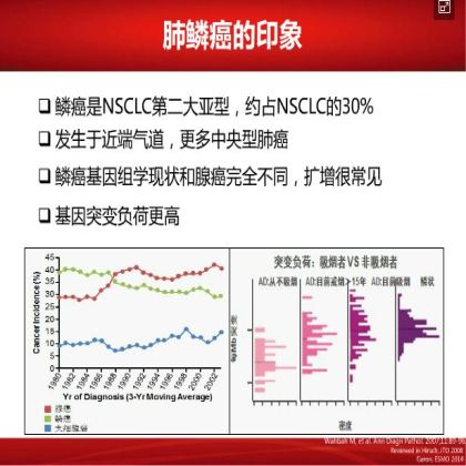 如何优化肺鳞癌的治疗