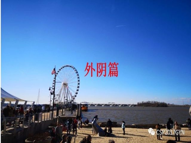 2019USCAP妇科病理热点介绍