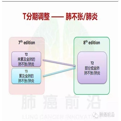 肺癌新分期和分类--临床和研究启示