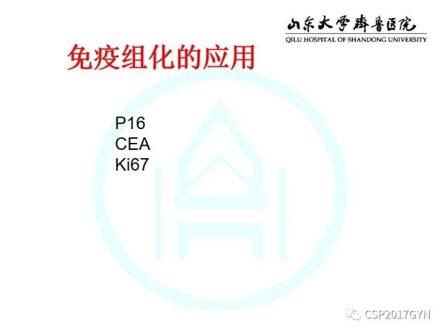 中华病理学会基层培训遵义站讲座（四）——宫颈腺癌的诊断及新分型