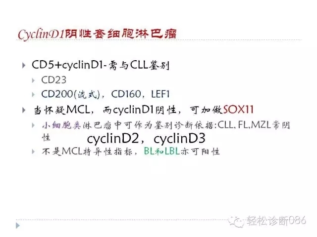 关于套细胞淋巴瘤的总结课件
