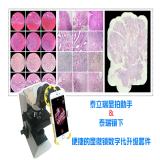 全自动数字病理切片扫描仪