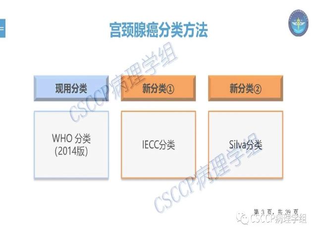黄文亭 张询：宫颈腺癌分类介绍