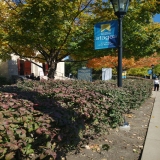 UPMC