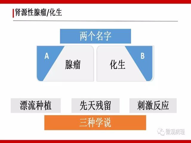 泌尿课程/尿路腺样病变的诊断要点