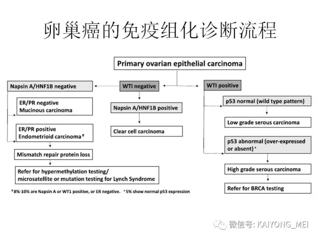 卵巢癌的病理诊断新进展（四）