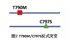 T790M和C797S反式突变的不同类型