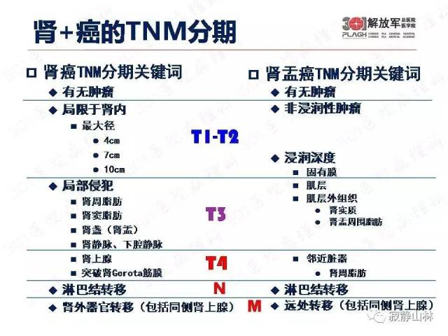 泌尿系统常见肿瘤标本病理报告规范