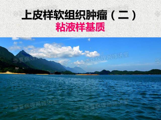 看图说话－－－巜具有上皮样特征的软组织肿瘤诊断与鉴别诊断》课件笔记摘录