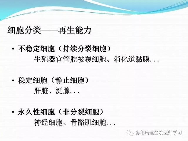 病理学基础知识 : 核分裂像的识别