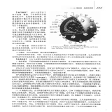 默认相册