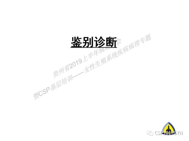 中华病理学会基层培训遵义站讲座（一）——卵巢和输卵管浆液性肿瘤的诊断和鉴别诊断
