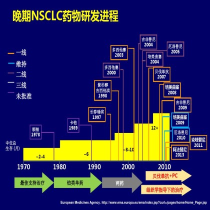 精准医疗，晚期肺癌化疗的地位及新思路
