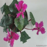 2012-12-01