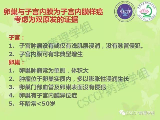 宫颈与子宫病变病理标本取材