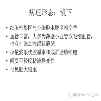 女性生殖道软组织肿瘤病理诊断及进展（二）