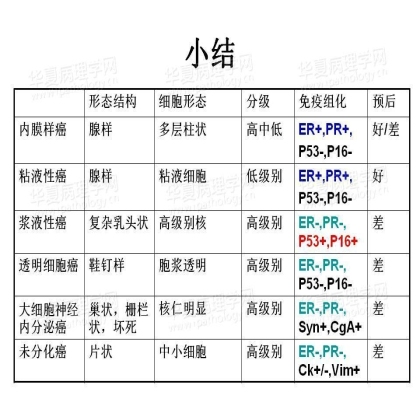 子宫上皮性肿瘤免疫组化小结