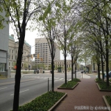 2012-04-01