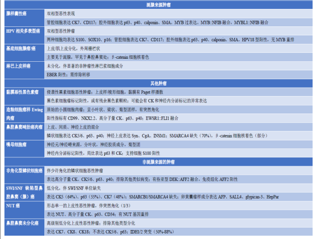 头颈病理十大之鼻腔鼻窦基底细胞样肿瘤十大（一）