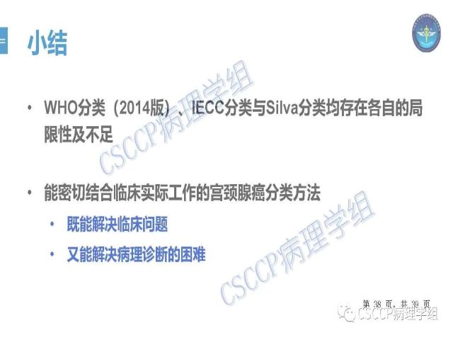 黄文亭 张询：宫颈腺癌分类介绍