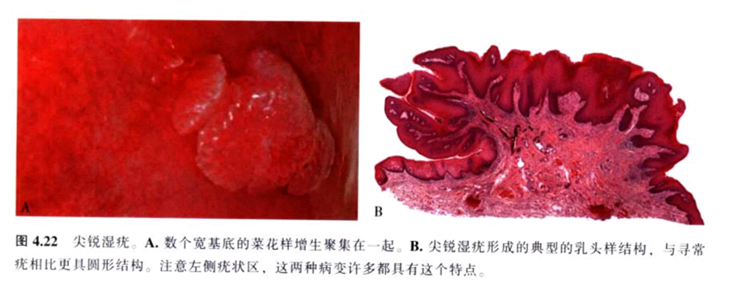 [ 连载 ] 上海肿瘤医院进修笔记 6