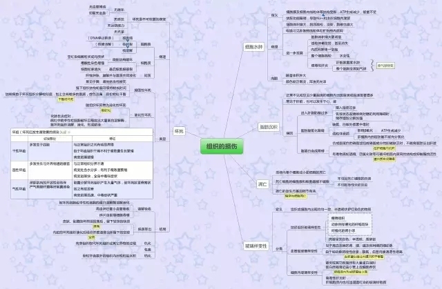 病理学思维导图 知识重点全有了