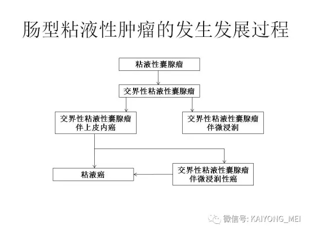 卵巢癌的病理诊断新进展（四）