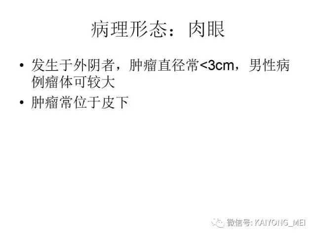 女性生殖道软组织肿瘤病理诊断及进展（一）