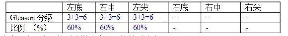 病理诊断报告模板——前列腺疾病
