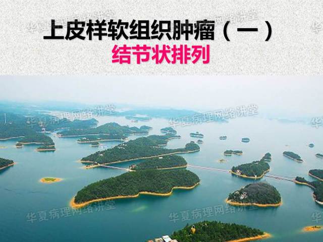 看图说话－－－巜具有上皮样特征的软组织肿瘤诊断与鉴别诊断》课件笔记摘录