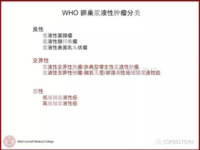 非粘液性卵巢肿瘤的诊断挑战