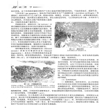 默认相册