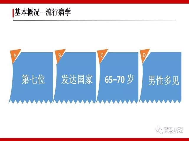泌尿课程/浸润性尿路上皮癌病理学类型