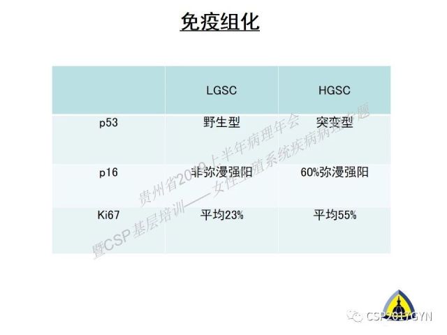 中华病理学会基层培训遵义站讲座（一）——卵巢和输卵管浆液性肿瘤的诊断和鉴别诊断