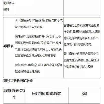 肿瘤病理学分类大全
