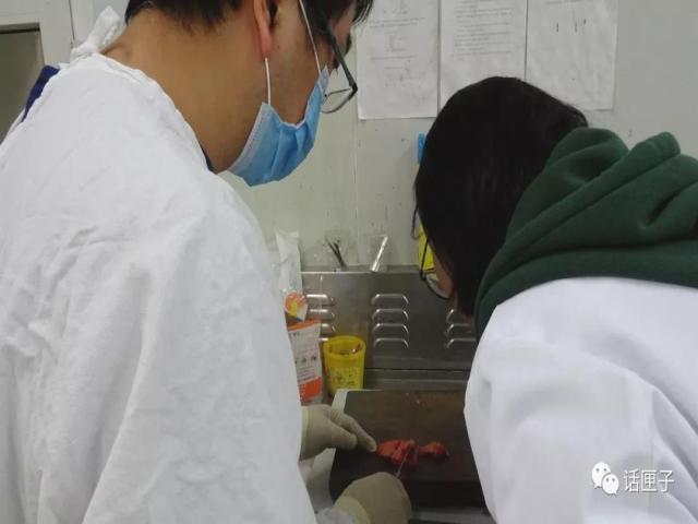 肿瘤还是囊肿?恶性还是良性?他们说了算!这群“幕后高手”,你未必了解…… 肿瘤还是囊肿?恶性还是良性?他们说了算!这群“幕后高手”,你未必了解……