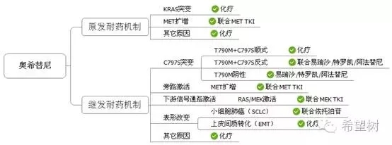 EGFR突变的耐药对策