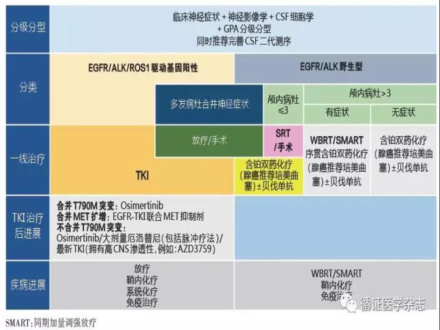 肺癌脑（膜）转移诊断治疗共识
