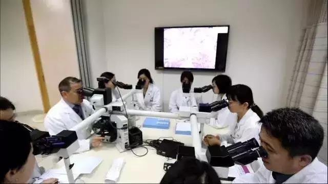 查肿瘤为何要做病理？专家为您揭开肿瘤病理的神秘面纱