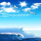 海阔天空