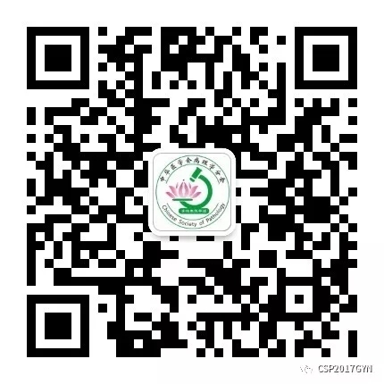 原发于子宫外的低级别子宫内膜样间质肉瘤文献复习 原发于子宫外的低级别子宫内膜样间质肉瘤文献复习