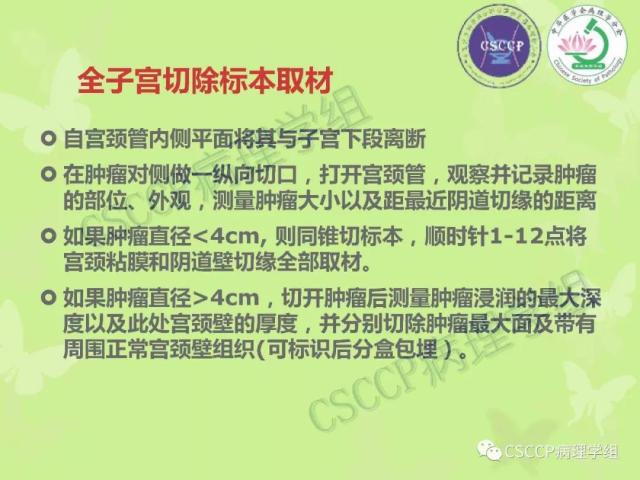 宫颈与子宫病变病理标本取材