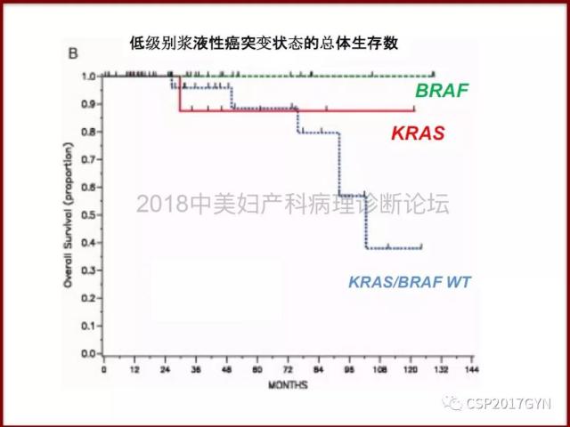非粘液性卵巢肿瘤的诊断挑战