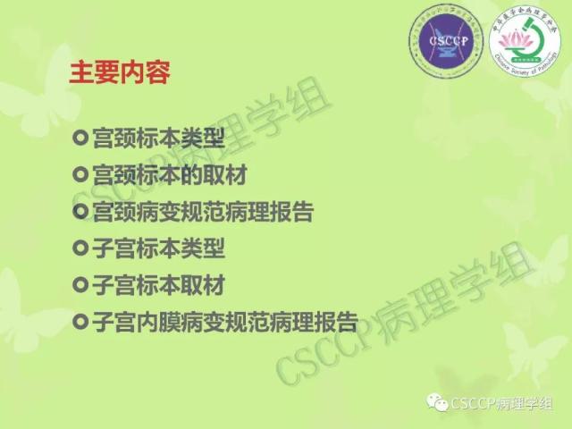 宫颈与子宫病变病理标本取材