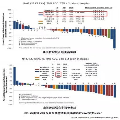 KRAS突变非小细胞肺癌的预后和疗效