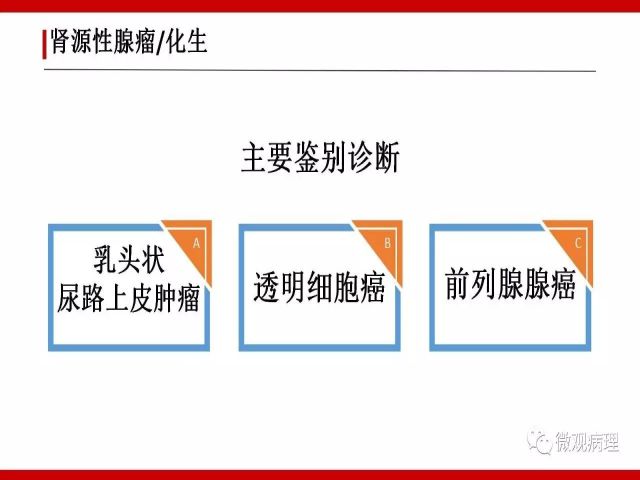 泌尿课程/尿路腺样病变的诊断要点