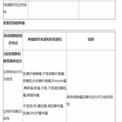肿瘤病理学分类大全